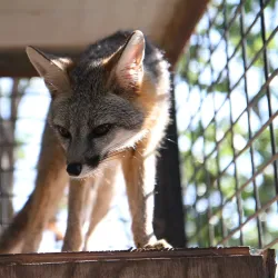 San Angelo Nature Center - San Angelo