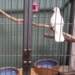 San Angelo Nature Center - San Angelo