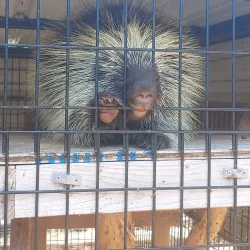 San Angelo Nature Center - San Angelo