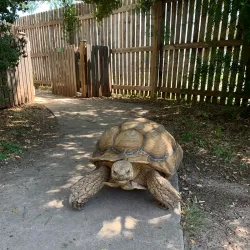 San Angelo Nature Center - San Angelo