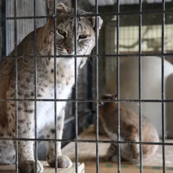 San Angelo Nature Center - San Angelo