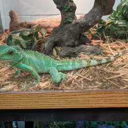 San Angelo Nature Center - San Angelo