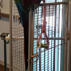 San Angelo Nature Center - San Angelo