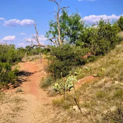 San Angelo State Park - San Angelo