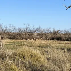 San Angelo State Park - San Angelo