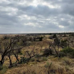 San Angelo State Park - San Angelo