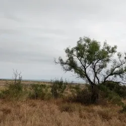 San Angelo State Park - San Angelo