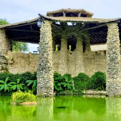 Japanese Tea Garden - San Antonio