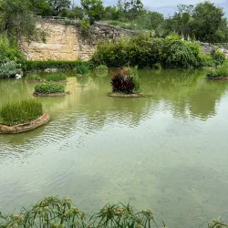 Japanese Tea Garden - San Antonio