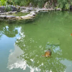 Japanese Tea Garden - San Antonio