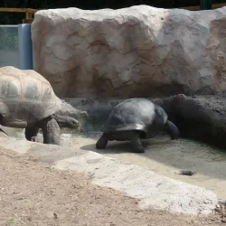 San Antonio Zoo - San Antonio