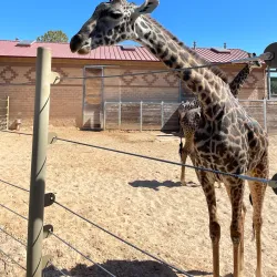 San Antonio Zoo - San Antonio