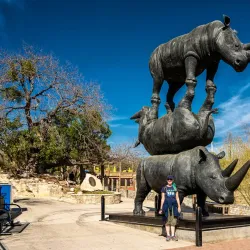 San Antonio Zoo - San Antonio