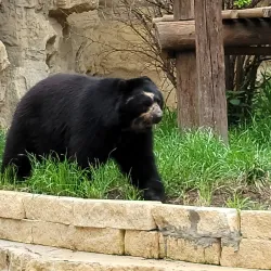 San Antonio Zoo - San Antonio