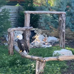 San Antonio Zoo - San Antonio