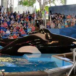 SeaWorld San Antonio - San Antonio