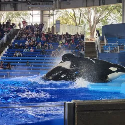 SeaWorld San Antonio - San Antonio