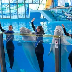 SeaWorld San Antonio - San Antonio