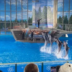 SeaWorld San Antonio - San Antonio