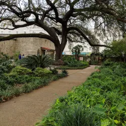 The Alamo - San Antonio