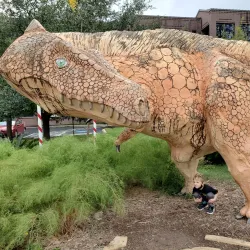 The Witte Museum - San Antonio