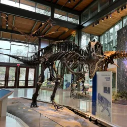 The Witte Museum - San Antonio