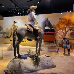 The Witte Museum - San Antonio