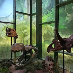 The Witte Museum - San Antonio