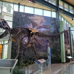 The Witte Museum - San Antonio