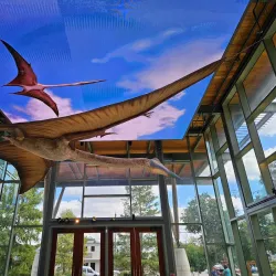 The Witte Museum - San Antonio