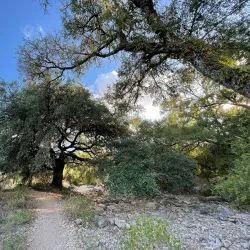 Purgatory Creek Natural Area - San Marcos