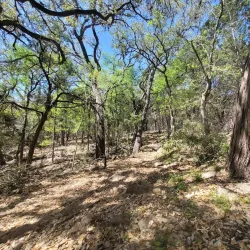 Purgatory Creek Natural Area - San Marcos