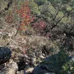 Purgatory Creek Natural Area - San Marcos