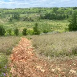Purgatory Creek Natural Area - San Marcos