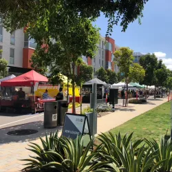 San Marcos Farmers Market - San Marcos
