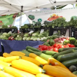 San Marcos Farmers Market - San Marcos