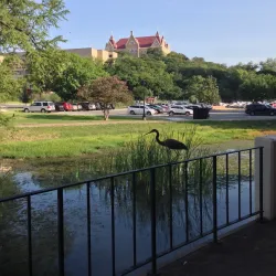 San Marcos Historic Downtown - San Marcos