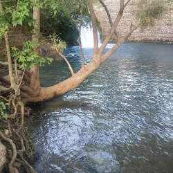 San Marcos River - San Marcos