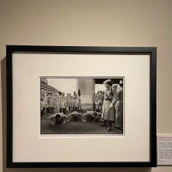 The Wittliff Collections - San Marcos