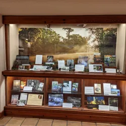 The Wittliff Collections - San Marcos