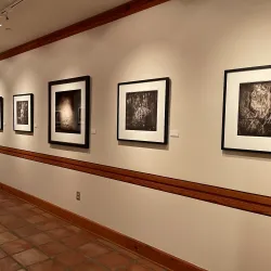 The Wittliff Collections - San Marcos