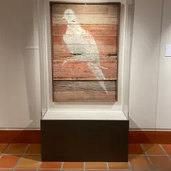 The Wittliff Collections - San Marcos