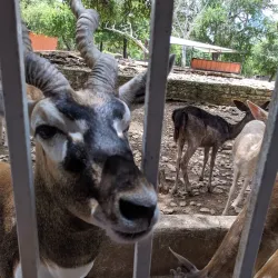 Wonder World Cave and Adventure Park - San Marcos