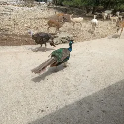 Wonder World Cave and Adventure Park - San Marcos