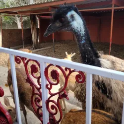 Wonder World Cave and Adventure Park - San Marcos