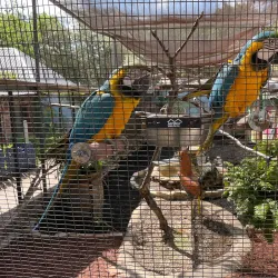 Wonder World Cave and Adventure Park - San Marcos