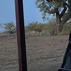 Lake Coleman - Santa Anna