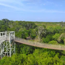 Santa Anna Riverwalk Park - Santa Anna