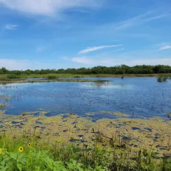 Santa Anna Riverwalk Park - Santa Anna
