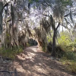 Santa Anna Riverwalk Park - Santa Anna